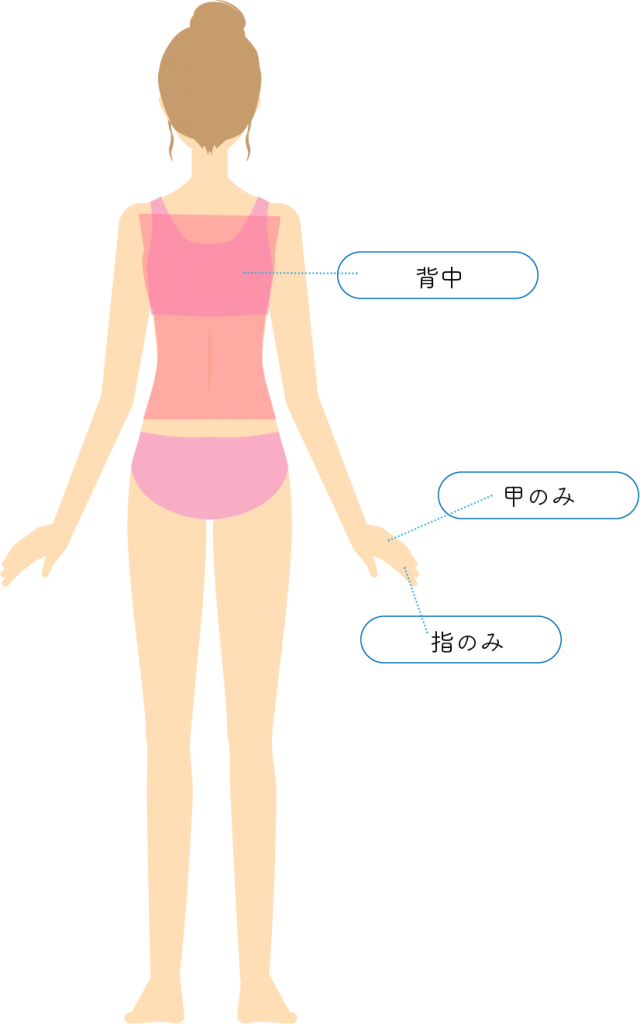 体全体背面