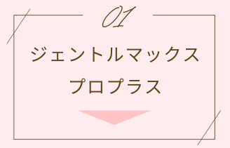 ジェントルマックスプロプラス